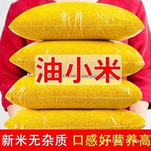 Shaanxi yellow millet, authentic farm fresh produce, five-grain and mixed grain, glutinous and delicious millet porridge, 2.5kg pack wholesale