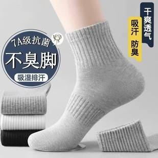 Xinjiang Cotton Pure Cotton Socks for Men, Four-Season Mid-Calf Sports Socks, Sweat-Absorbent and Odor-Resistant Short Socks, Wholesale from Zhuji Sock Industry