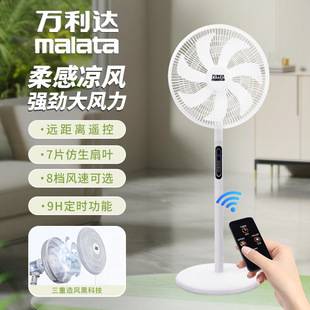 Household electric fan with remote control, large wind power, oscillating fan, silent standing or desktop fan for bedroom, wholesale