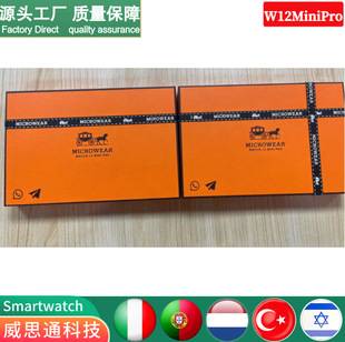 Microwear Cross-Border W12Minipro Smart Watch Amoled Screen Waterproof Chatgpt Huaqiangbei Watch