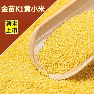 Aohan Jinmiao K1 Yellow Millet from Inner Mongolia, Farmhouse Millet, New Crop, Whole Grains, Rice Oil, for Porridge, Baby Food, Breakfast
