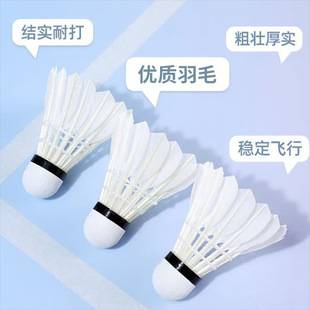 Professional Durable Badminton Shuttlecocks, Pack of 12, Non-Marking Badminton Shuttlecocks for Outdoor Entertainment, Durable Badminton Shuttlecocks