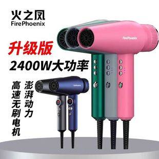 Fire Phoenix Hair Dryer M1 for Barber Shops, Salon Stylists, Negative Ion M2 Plus High-Speed Hair Dryer M3