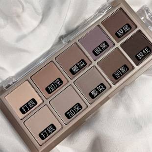 DIKALU ten color earth color cement color eye shadow plate 2021 New High color value niche affordable eye shadow makeup