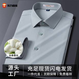 Containing Mulberry Silk + Modal Business White Shirt Men's Long-Sleeved Anti-Wrinkle No-Iron Professional Workwear Blue Shirt