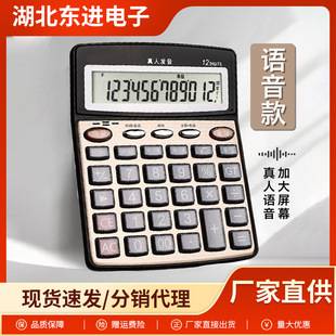 Voice Calculator for Financial Accounting with Human Voice, Large Buttons, Large Screen, for Office Use and Commercial Use