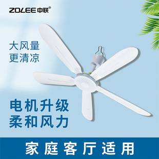 Zhonglian FG10-70 five-leaf 700MM ceiling fan household student dormitory ceiling fan mosquito net bed fan saving