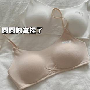 Zhiqu Modal Seamless Underwear Women's Summer Thin Style Small Chest Gathering Anti-Sagging Breathable Bra Ultra-Thin Bra