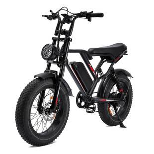 20inch Wide-Tire Electric Power-Assisted Bicycle 1000W Imitation Motorcycle Off-Road Riding European and American Overseas Delivery Electric Vehicle