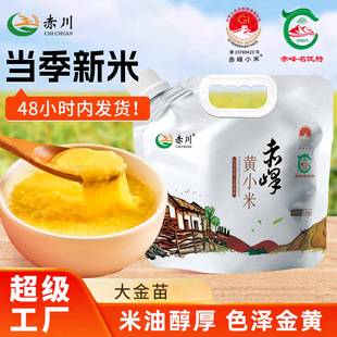 Authentic Ao Han millet from Chifeng, Inner Mongolia 2.5kg Da Jin Miao yellow millet porridge, new crop mixed grains wholesale