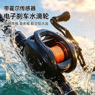 DIUKEO water drop reel with electronic brake and sound effect, DC flash light system, suitable for lure fishing and targeting black carp