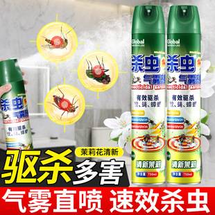 Insecticide Aerosol 750ml Household Spray for Killing Cockroaches, Ants, Mosquitoes, Flies, Indoor Spray, Slightly Toxic, Safety Certified