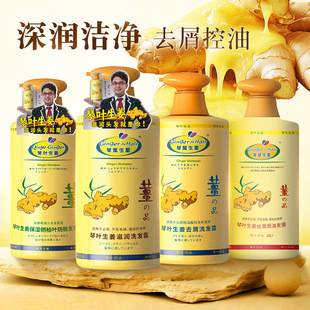 Qinye/Qin Ye Ginger Anti-Dandruff Oil Control Shampoo Anti-Hair Loss Nourishing Fluffy Improve Frizz Oil Control 1000ml