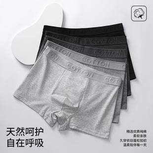 New Men's Underwear, Pure Cotton, Antibacterial, Large Size, Breathable, Combed Cotton Boxer Briefs, Shorts, Spring and Summer