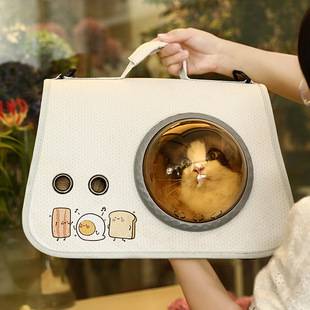 Pet Portable Space Capsule Cat Bag Portable Foldable Shoulder Bag Outgoing Backpack Cartoon Cat Dog Bag