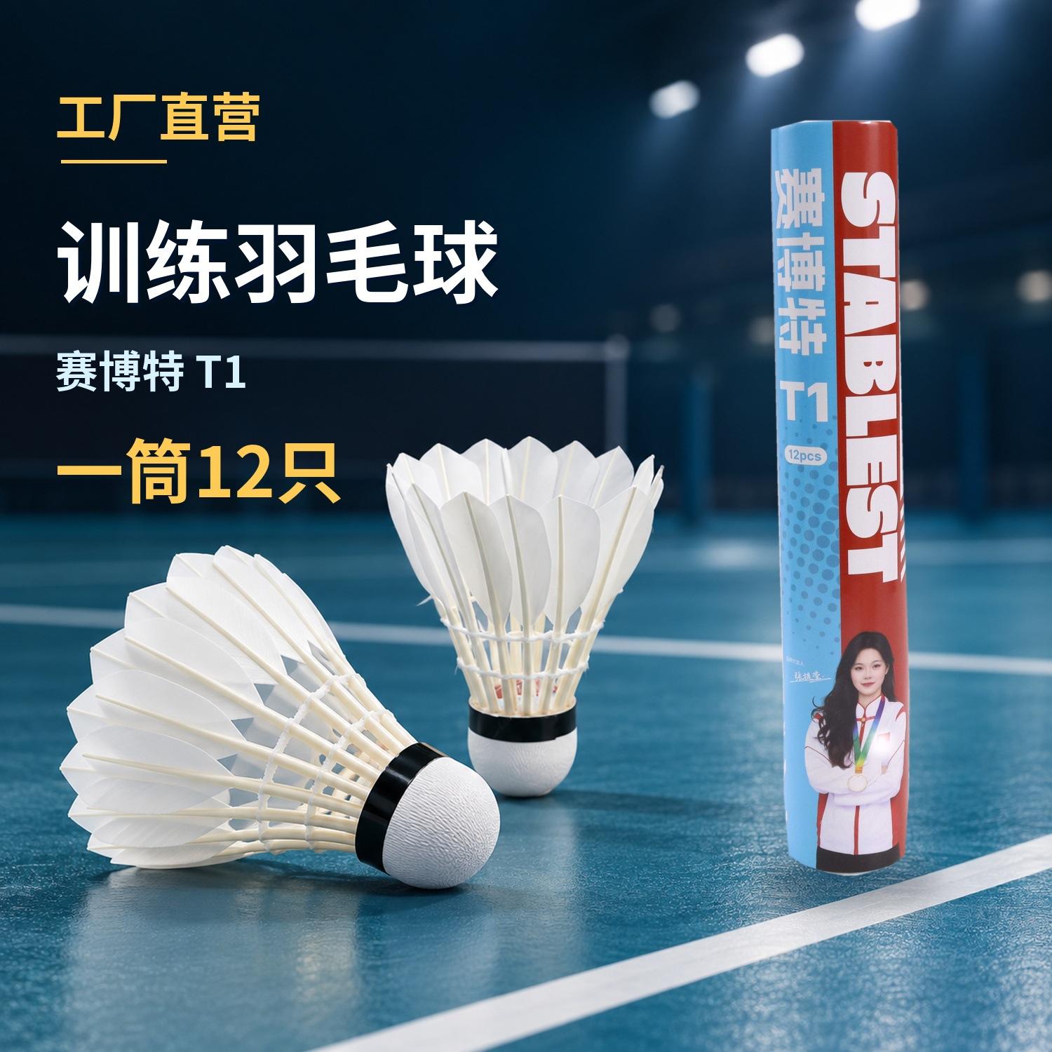 Cyberot Badminton Shuttlecocks, 12 pieces, stable and durable, for home entertainment, indoor and outdoor training, wind-resistant, high-quality goose feather