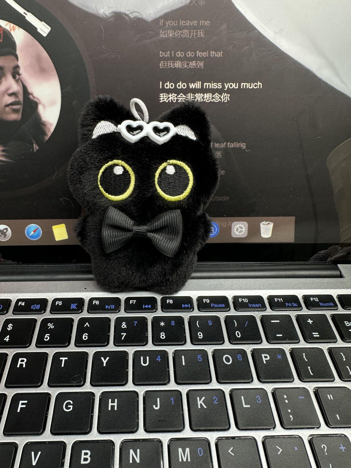 蝴蝶结墨镜黑猫
