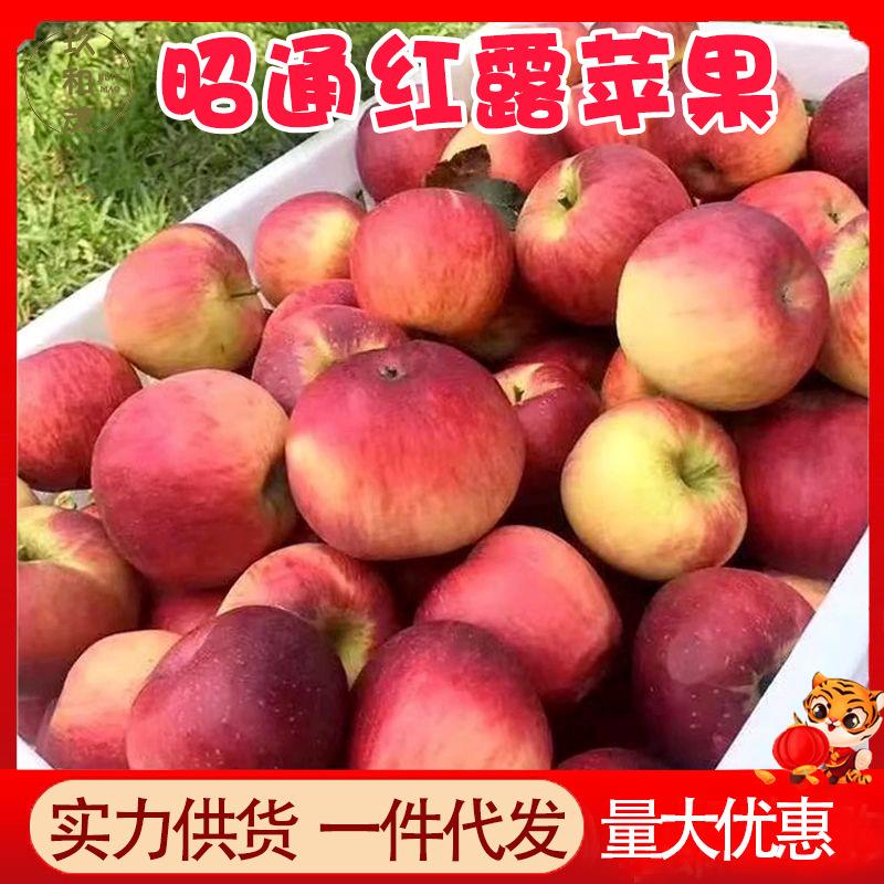 Authentic Zhaotong Red Dew Apples 2.5kg Whole Box Seasonal Fresh Fruit 10 Wholesale Free Shipping 3 Yunnan Freshly Picked Small Apples