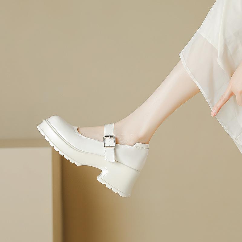 Sweet and Cool Style Mary Jane Shoes for Women 2026 New Model Chunky High Heels Retro Versatile Thick-Soled Leather Shoes