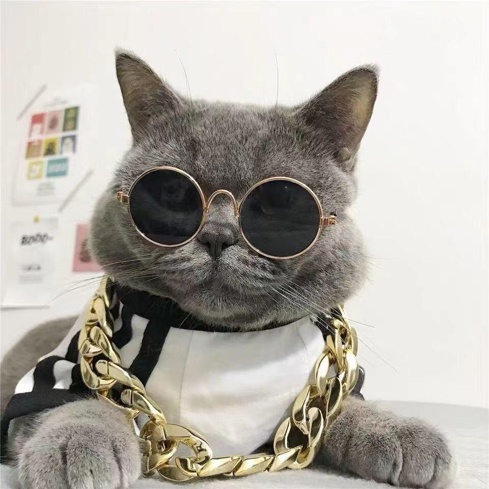 dog cat pet small glasses creative trend toy sunglasses studio shooting props