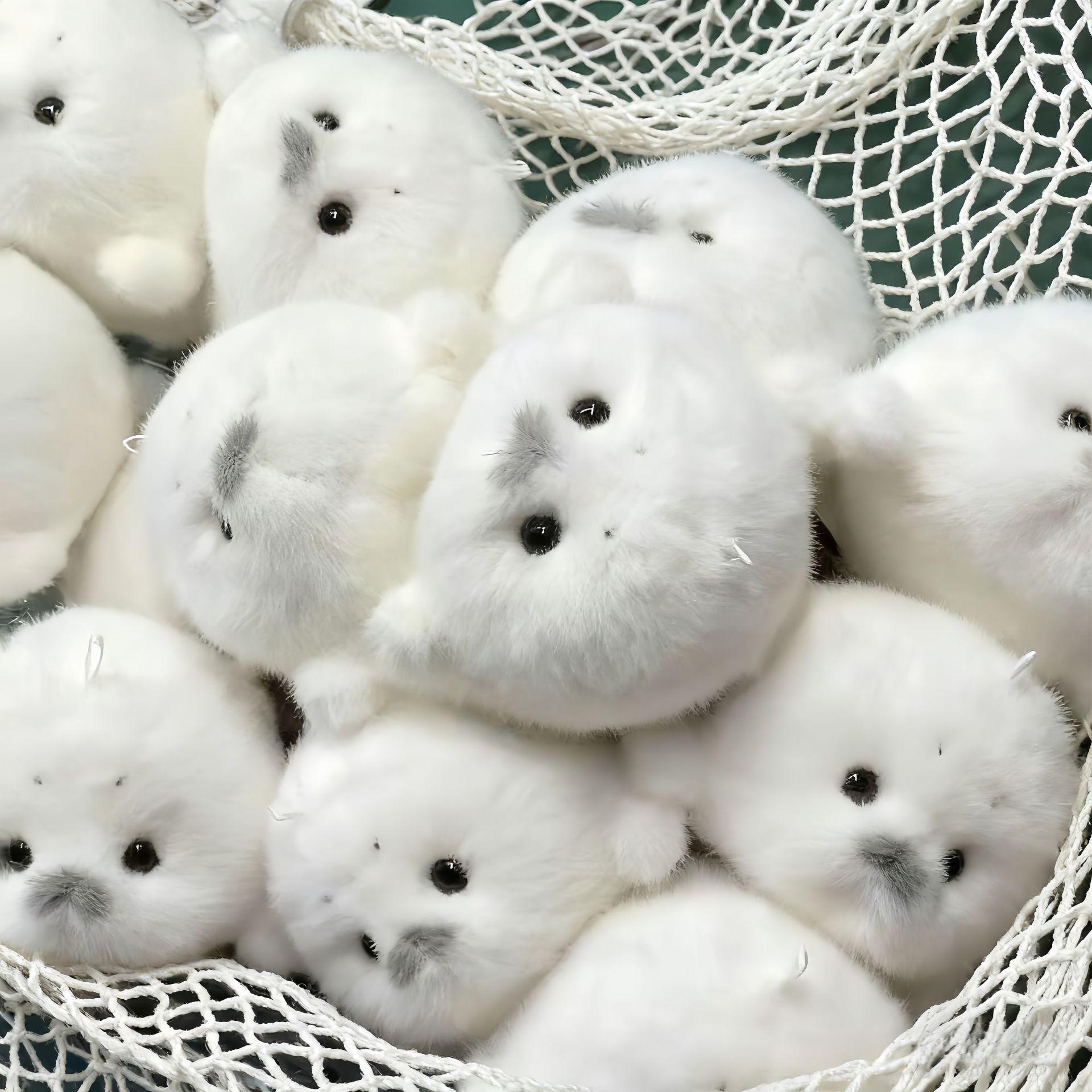 Cute Baby Seal Plush Doll Pendant Simulation Ocean Doll Seal Doll Grabber Machine Wholesale