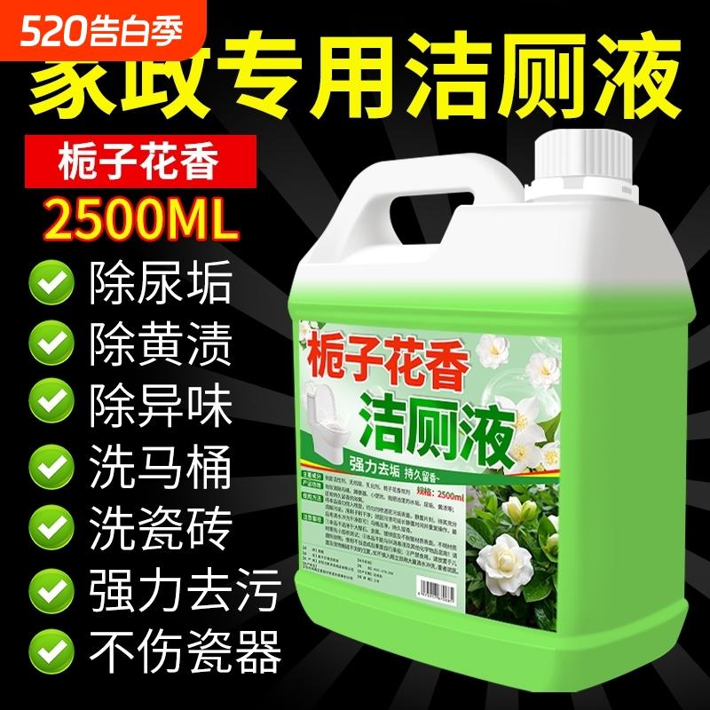 Toilet Cleaner Powerful Descaling and Deodorizing Liquid, Fresh-Scented Toilet Cleaning Agent, Powerful Stain Remover, Removes Yellow Stains and Leaves Fragrance