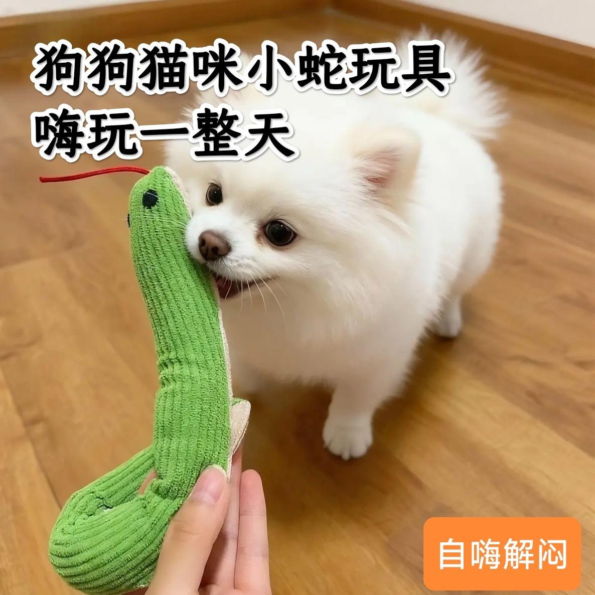 Directly from the Manufacturer: Realistic Snake Toy, Cat Teasing Gadget, New Pet Supplies for Cats, Cross-Border Cat Products