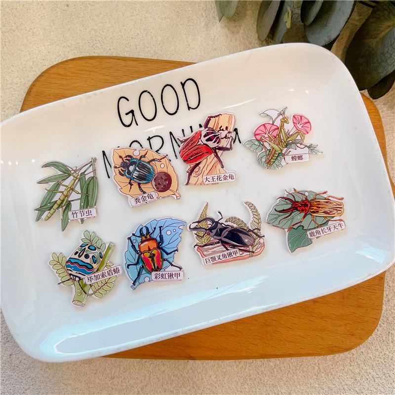 Insect Badge Decoration Science Brooch Gift for Children and Friends Bamboo Leaf Beetle Longhorn Beetle Praying Mantis Pin