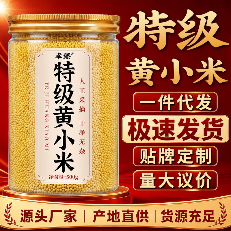 Premium yellow millet, new crop of the season, postpartum rice, mixed grain rice, high-quality millet from the farm, direct from the source manufacturer