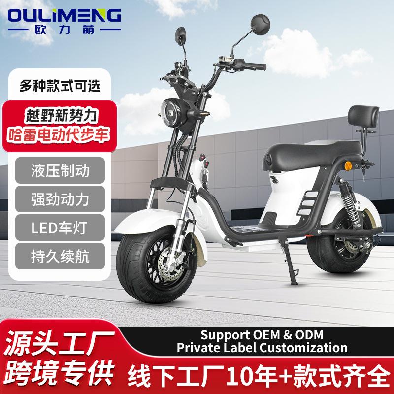 Small Harley-Style Electric Motorcycle, Cruiser Motorcycle, Electric Harley Bike, Two-Wheeler, Cruiser Bike, Wide-Tire Off-Road Vehicle
