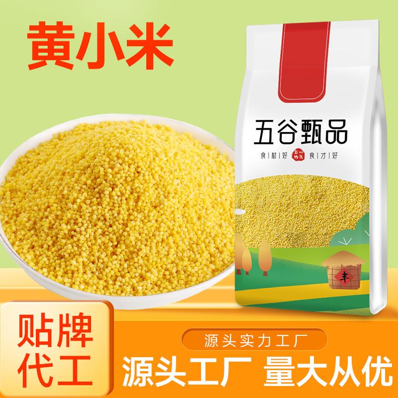 [Factory] Inner Mongolia Yellow Millet 250g Vacuum New Grains Wholesale Oem Processing