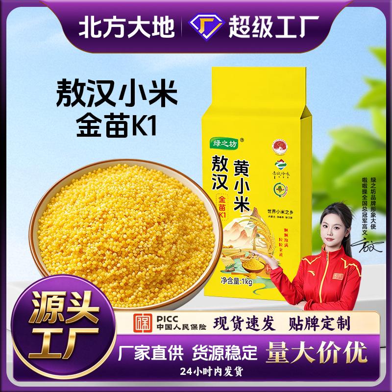 Green Field Seasonal New Rice: Aohan Yellow Millet 1.0kg and Chifeng Authentic Five-Grain Golden Millet k1 Fresh Yellow Glutinous Rice