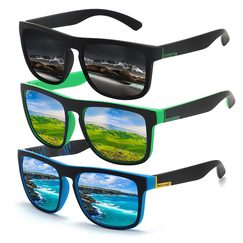 New sports sunglasses riding polarized sunglasses colorful sunglasses elastic paint glasses cross-border supply D731