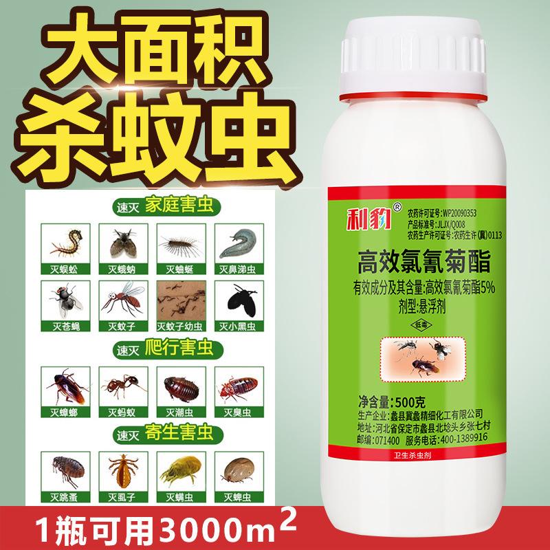 Concentrated Insecticide Fly Medicine Cockroach Mosquito Farm Outdoor Hotel Farm Household High-Efficiency Cypermethrin