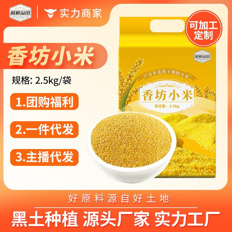 Hualiang Yellow Millet 2.5kg Northeast Yellow Millet Whole Grains Coarse Grains Small Yellow Millet Directly from Manufacturer Yellow Millet