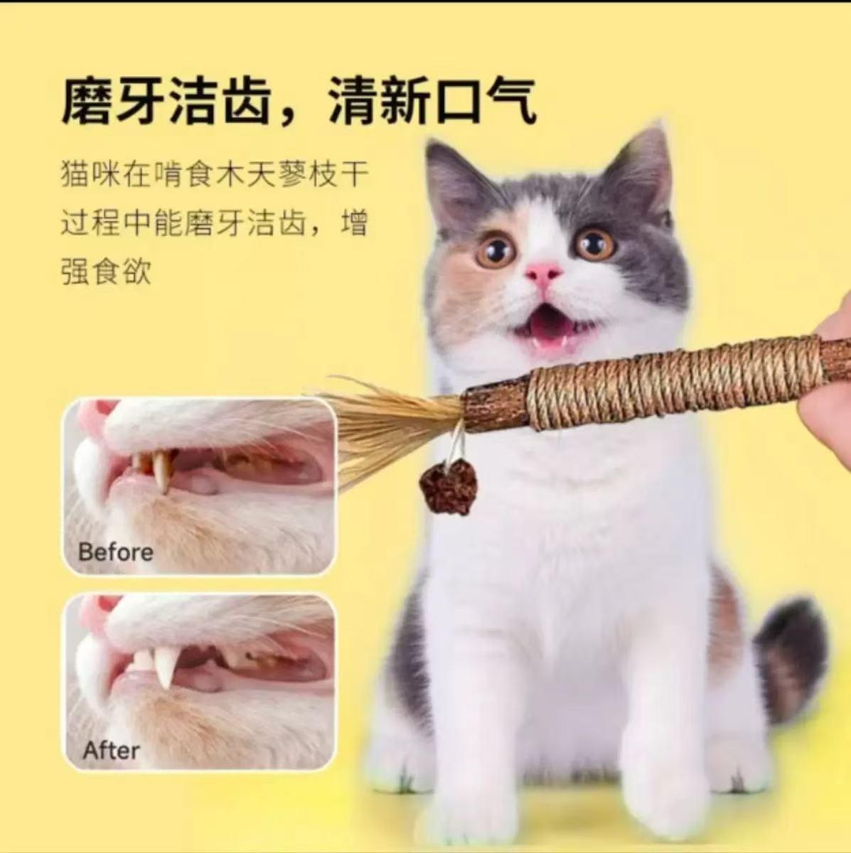 Catnip Wood Cat Toy for Teeth Cleaning, Durable Chew Toy for Kittens, Mint Pet Cat Toy for Entertainment