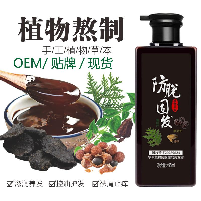 Nine-Ingredient Polygonum Multiflorum and Ginger Anti-Hair Loss Shampoo, Herbal Brewed Shampoo with Platycladus Arborvitae Leaves for Oil Control, In-Stock Hair Care