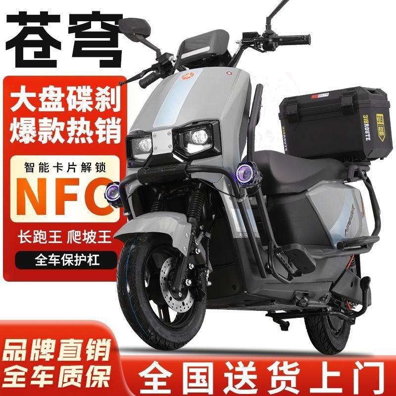 Electric Motorcycle 96V Electric Vehicle 72V Pedal Electric Scooter High-Power High-Speed Electric Motorbike Long-Distance King