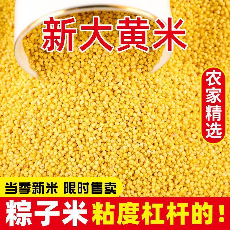 Fendu Xiangshan West 2.5kg Yellow Millet, New Crop, Premium Farmhouse Glutinous Millet, Postpartum Five-Grain Mixed Grains, Small Yellow Millet for Breakfast