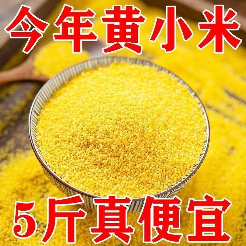 2.5kg Fresh Yellow Millet for Postpartum Care, New Crop Farmhouse Millet Porridge, Whole Grains for Cooking Porridge
