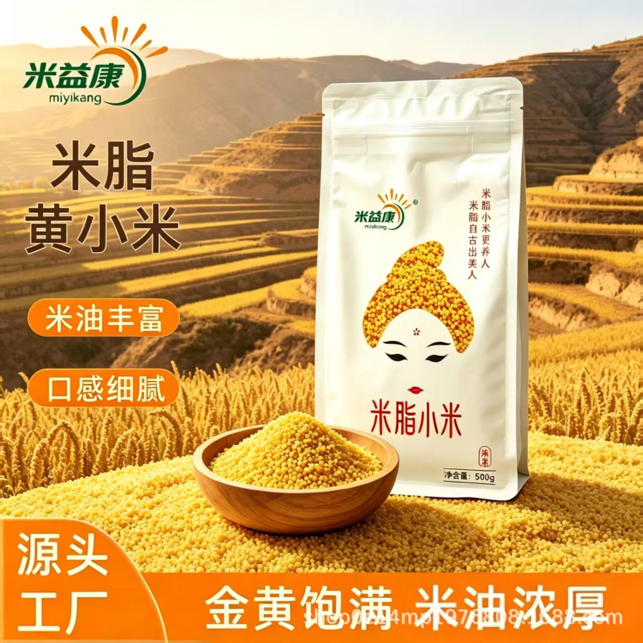 Mi Yi Kang Shaanbei Mizhi Millet for Stomach Health, Nutritious Millet Porridge, 500g Yellow Millet from the Source Factory