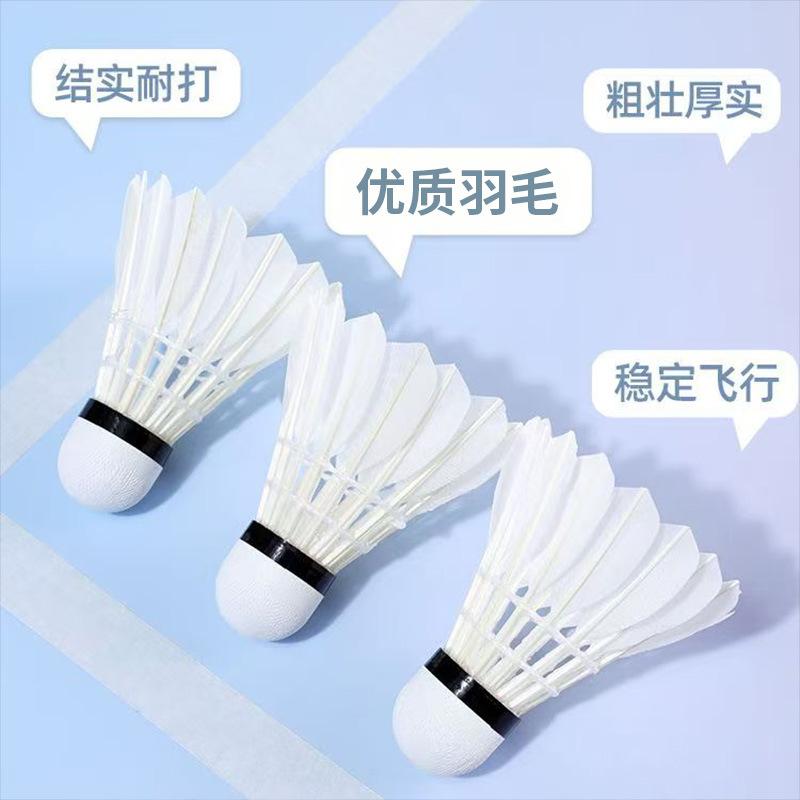 Professional Durable Badminton Shuttlecocks, Pack of 12, Non-Marking Badminton Shuttlecocks for Outdoor Entertainment, Durable Badminton Shuttlecocks