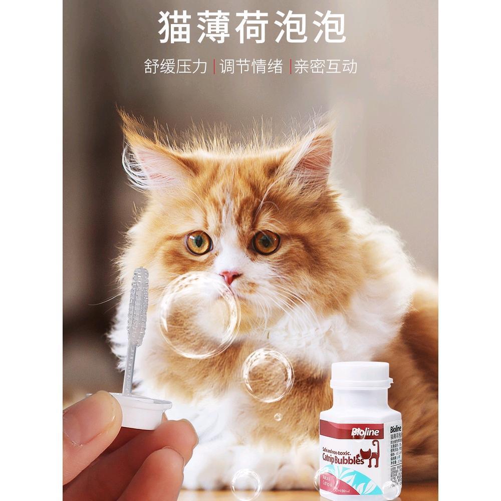 Bioline Catnip Bubble Water Cat Bubble Pet Blowing Catnip Grass Teasing Cat Toy Kitten Mini