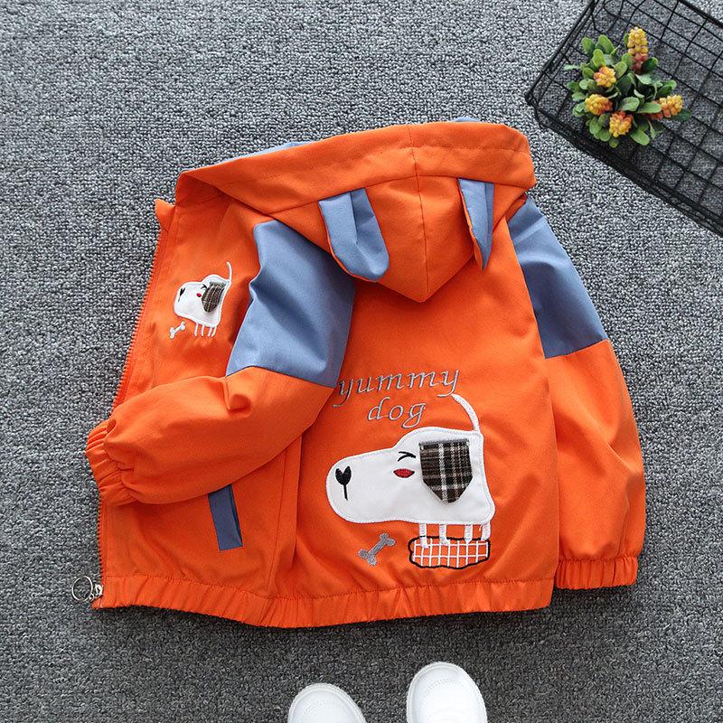 Boys and Girls' Jackets, Spring and Autumn Trendy Children's Clothing, Hooded Tops, Baby Girls' Cartoon Jackets, Spring and Autumn Clothes, Fashionable