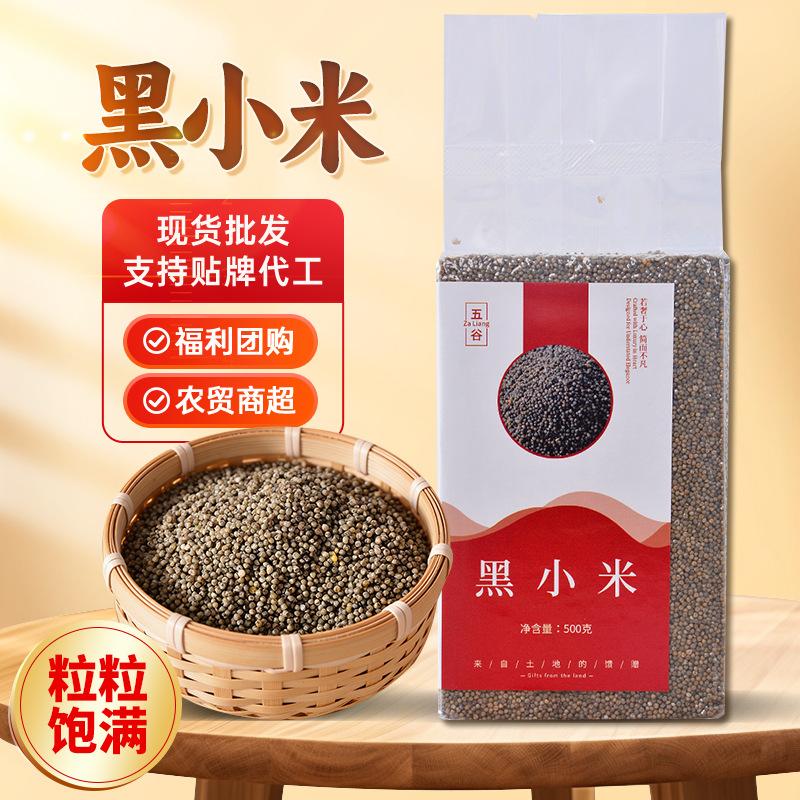 New Rice Black Millet Farm-Produced Millet Northeast Inner Mongolia Specialty Millet Breakfast Porridge Nutritious Porridge Whole Grains