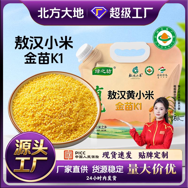 Green Field Organic Aohan Yellow Millet, Chifeng New Season Rice, Authentic Farmhouse Golden Millet k1 Coarse Grains and Mixed Grains