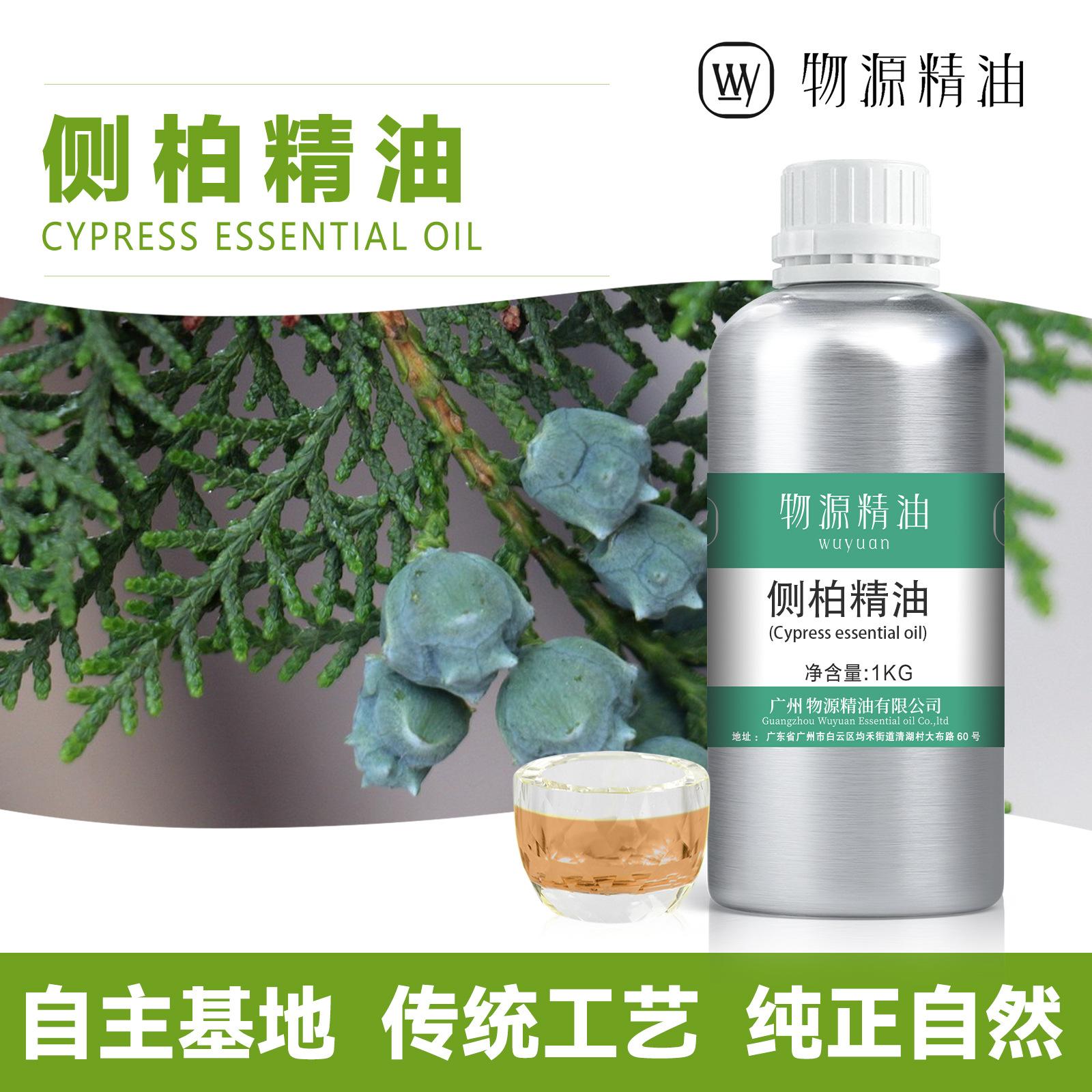 Platycladus orientalis essential oil, herbal plant extract, Platycladus orientalis leaf hair care and nourishing oil, massage and foot soak single essential oil raw material supply