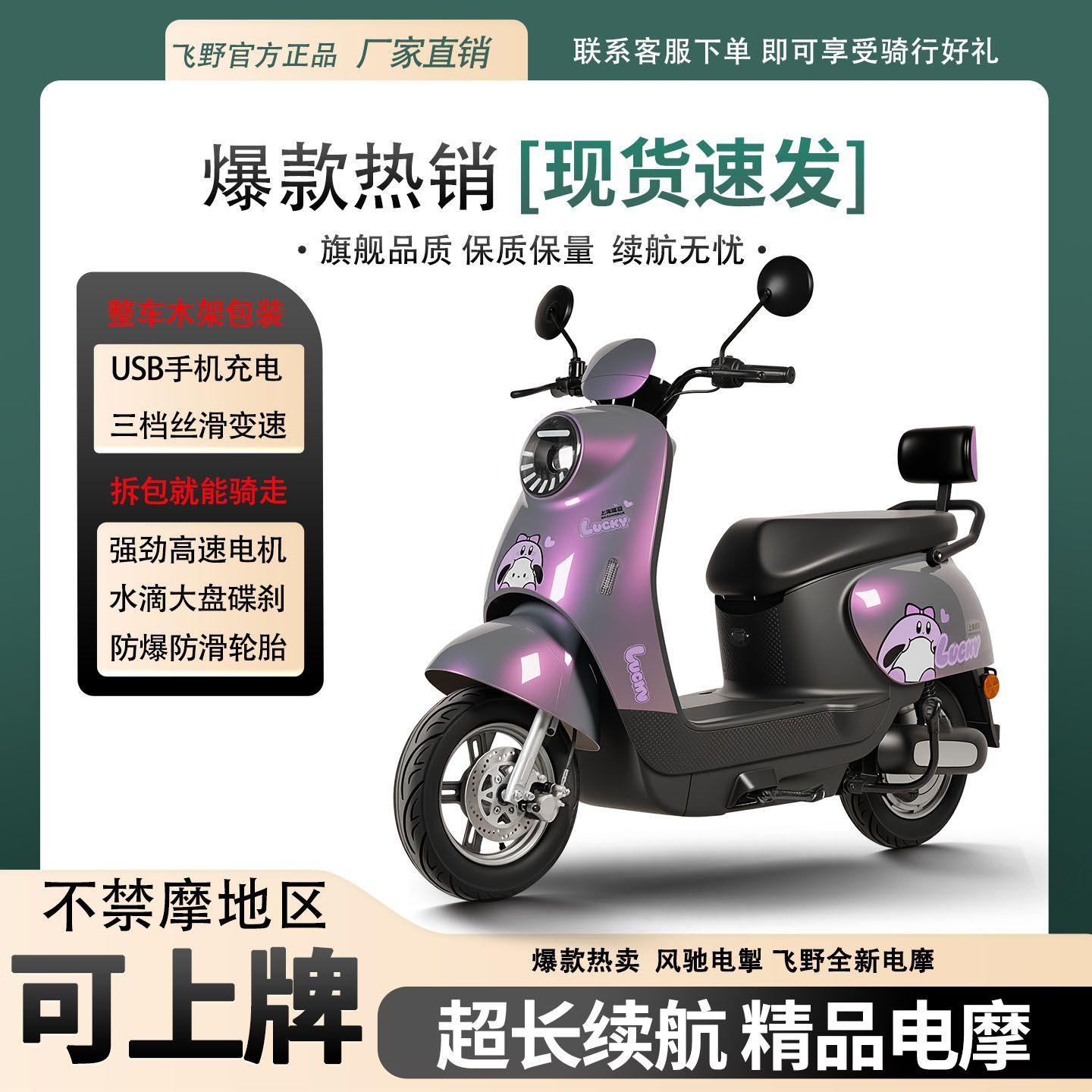 Wholesale of New Models of Small Electric Motorcycles for Cross-Border Trade, Two-Wheeled Electric Vehicles, Export Standard Electric Motorcycles for Adults