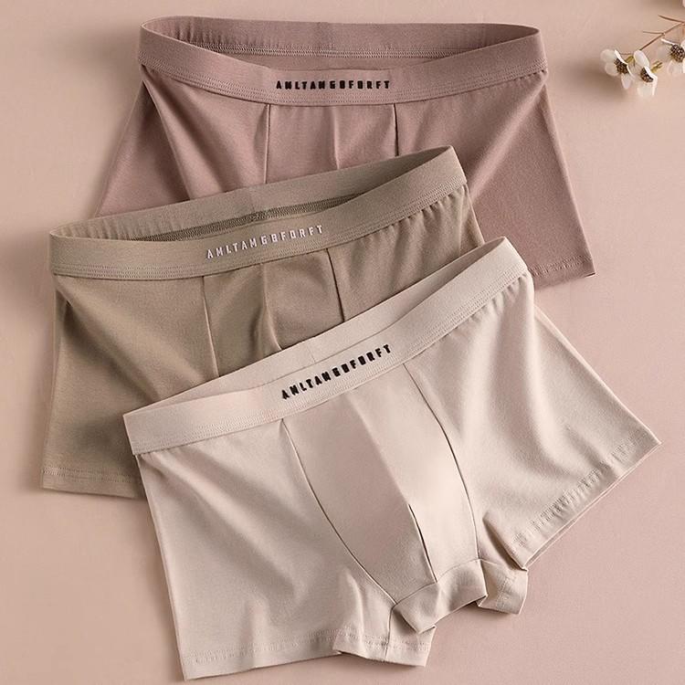 Underwear men's cotton antibacterial men's cotton men's boxer shorts 2024 new autumn and winter boys boxer shorts head