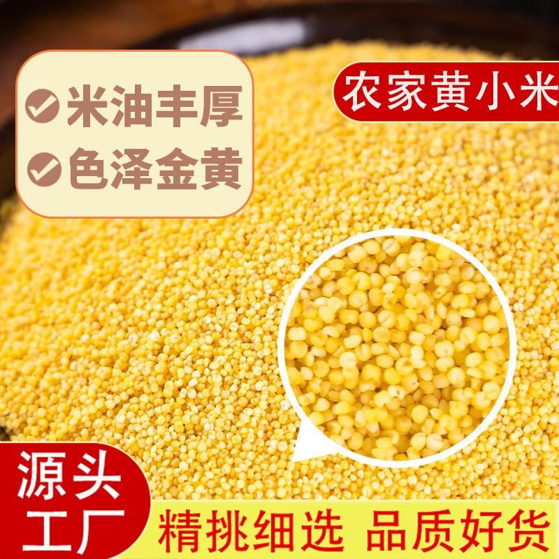 Yellow Millet New Crop for Porridge, Glutinous Millet Porridge, Small Yellow Millet, Whole Grains, Postpartum Rice, Farm-Grown Fragrant Glutinous Millet, Coarse Grains